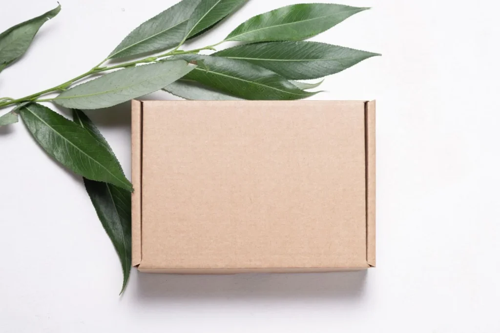 Nachhaltige Verpackungsbox mit grünen Blättern