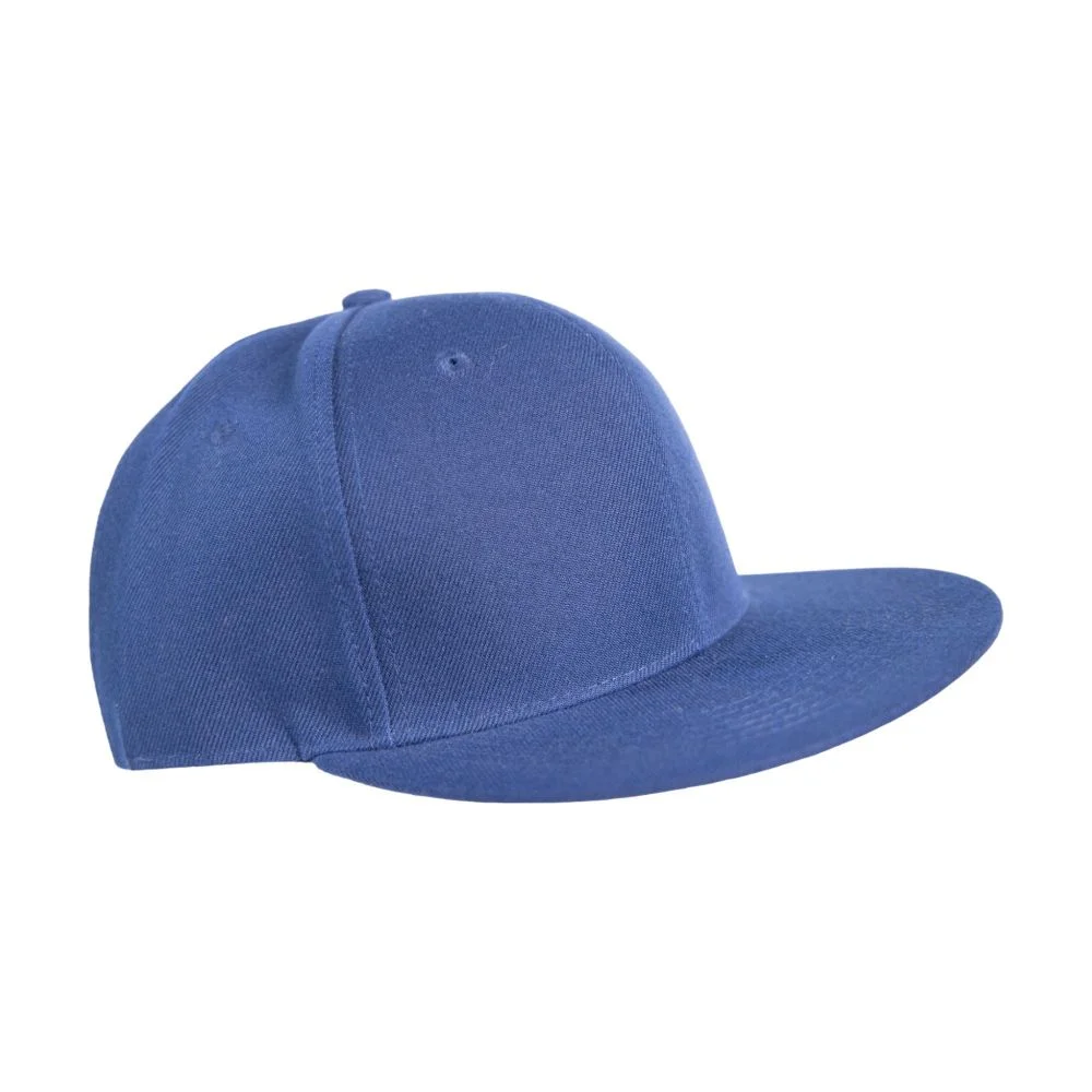 Side view of a blue cap with a flat visor