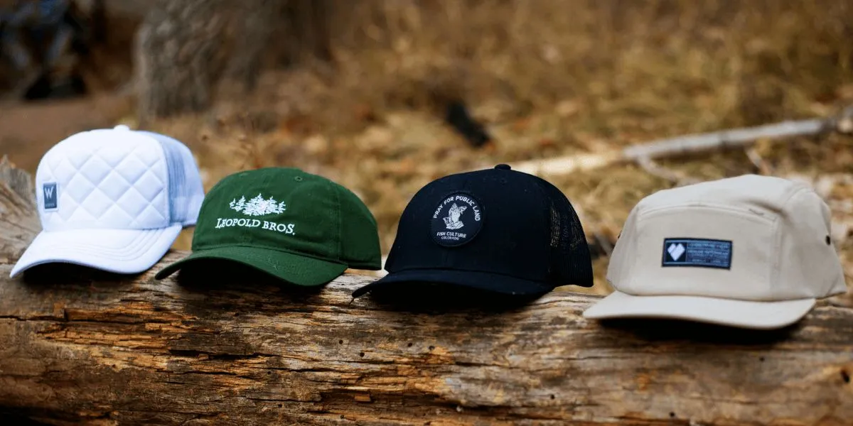 Cuatro tapas en un tronco al aire libre