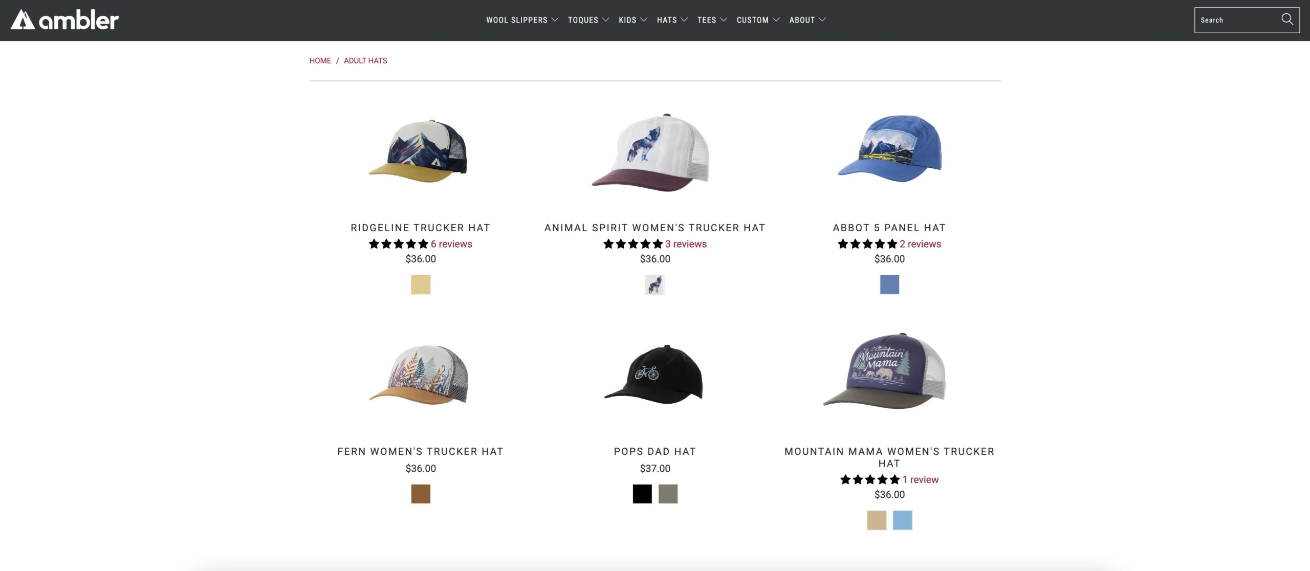 Ambler Website Ambler Website