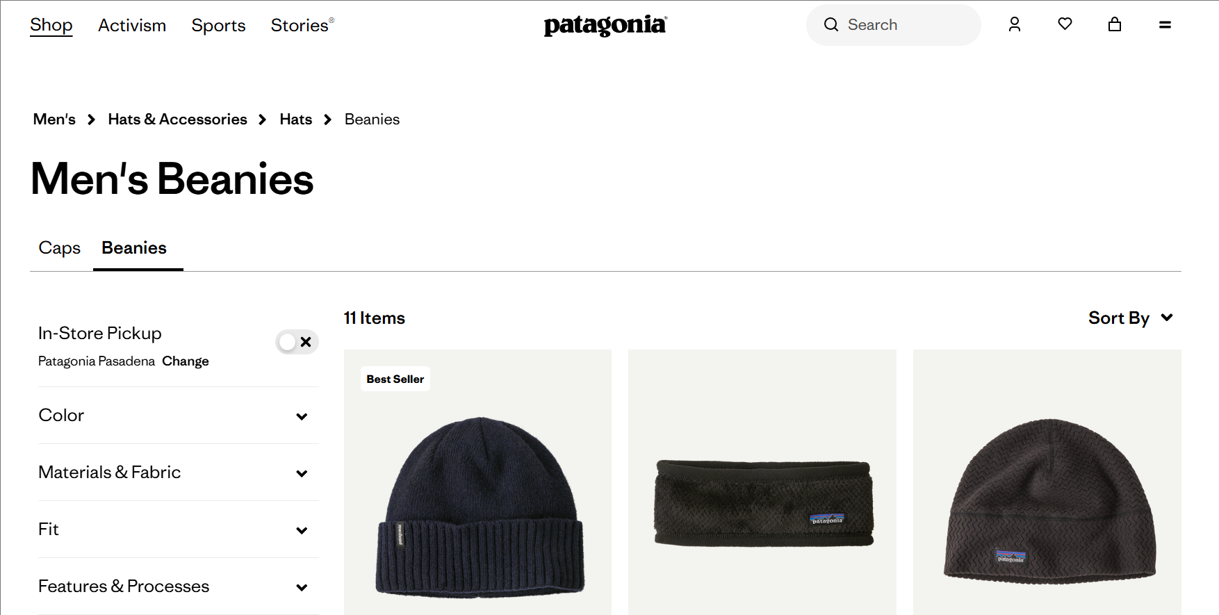 Patagonia Beanie